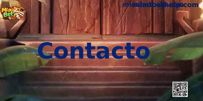 Contacto Miau Bet México soporte