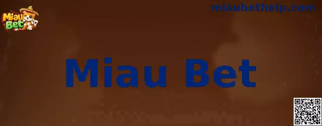 Instrucciones visuales de Miau Bet
